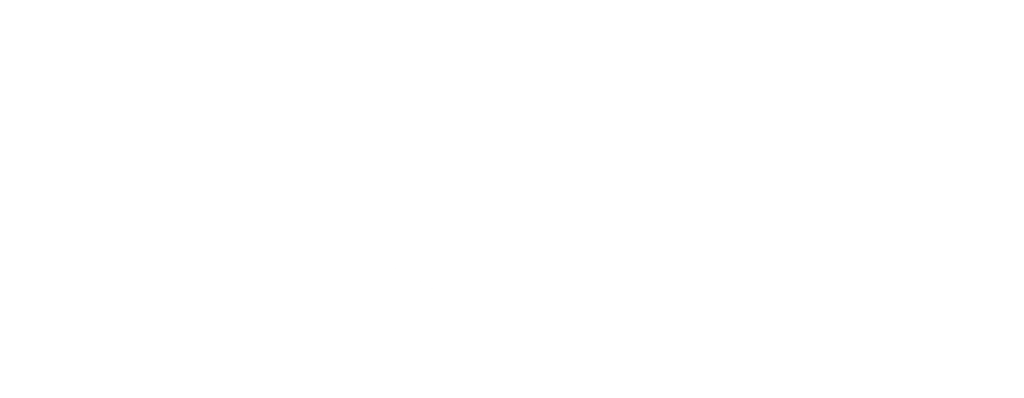 Patrik Logo White